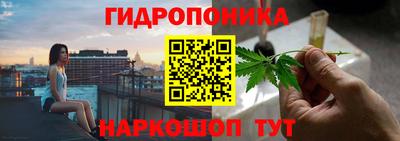сатива Нягань